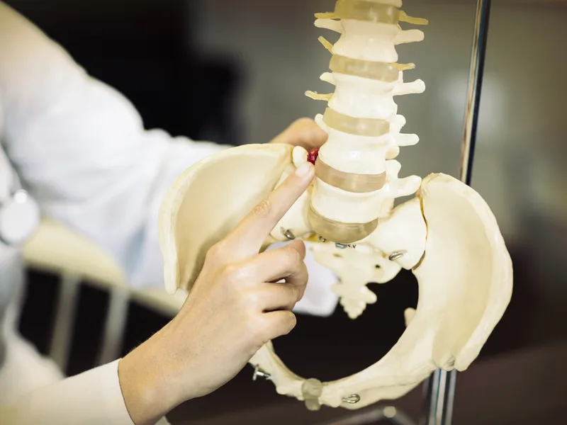 Gonstead Technique at True North Chiropractic Center in Thief River Falls