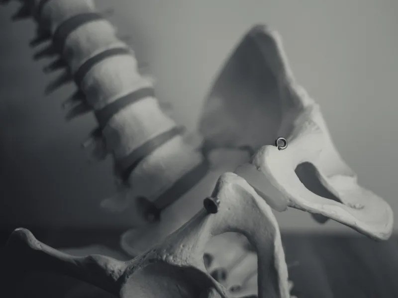 X-Rays at True North Chiropractic Center in Thief River Falls